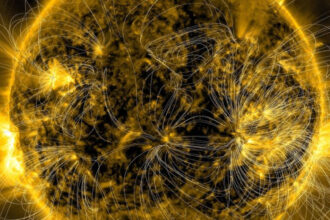 Scientists detect foundation of the solar’s magnetic field